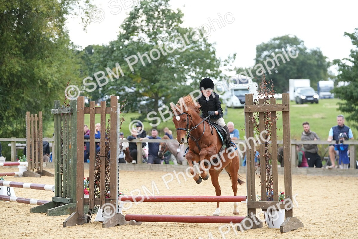 SBM_74623 - J4 - Mini Tour Junior Pony 45cm Championship