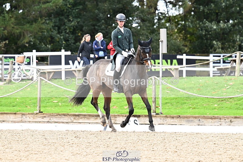 251023A-110543-01639 - B-134-Rafael.Losano