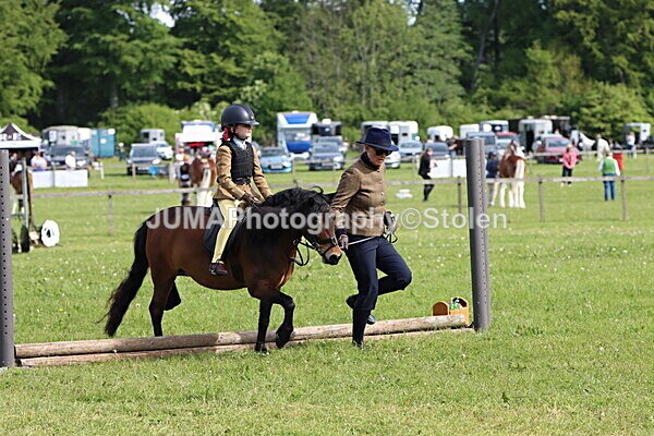 IMG_2159 - Working Hunter