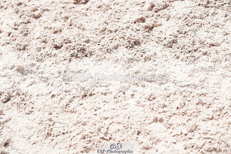 250525-121906-09394 - Cls 33 A&B Snr Disc & 1.00m Open