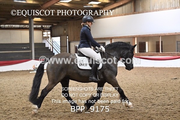 BPP_9175 - ELEM 4