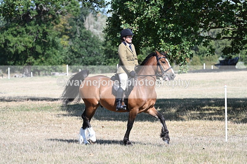 WJ7_3734 - Class 9 Mountain & Moorland Ridden