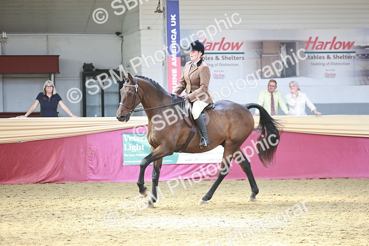 SBM_07076 - Class 10R - Regional Ridden Diamond