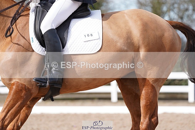 250322-105124-00183 - DR Elementary 1 Test