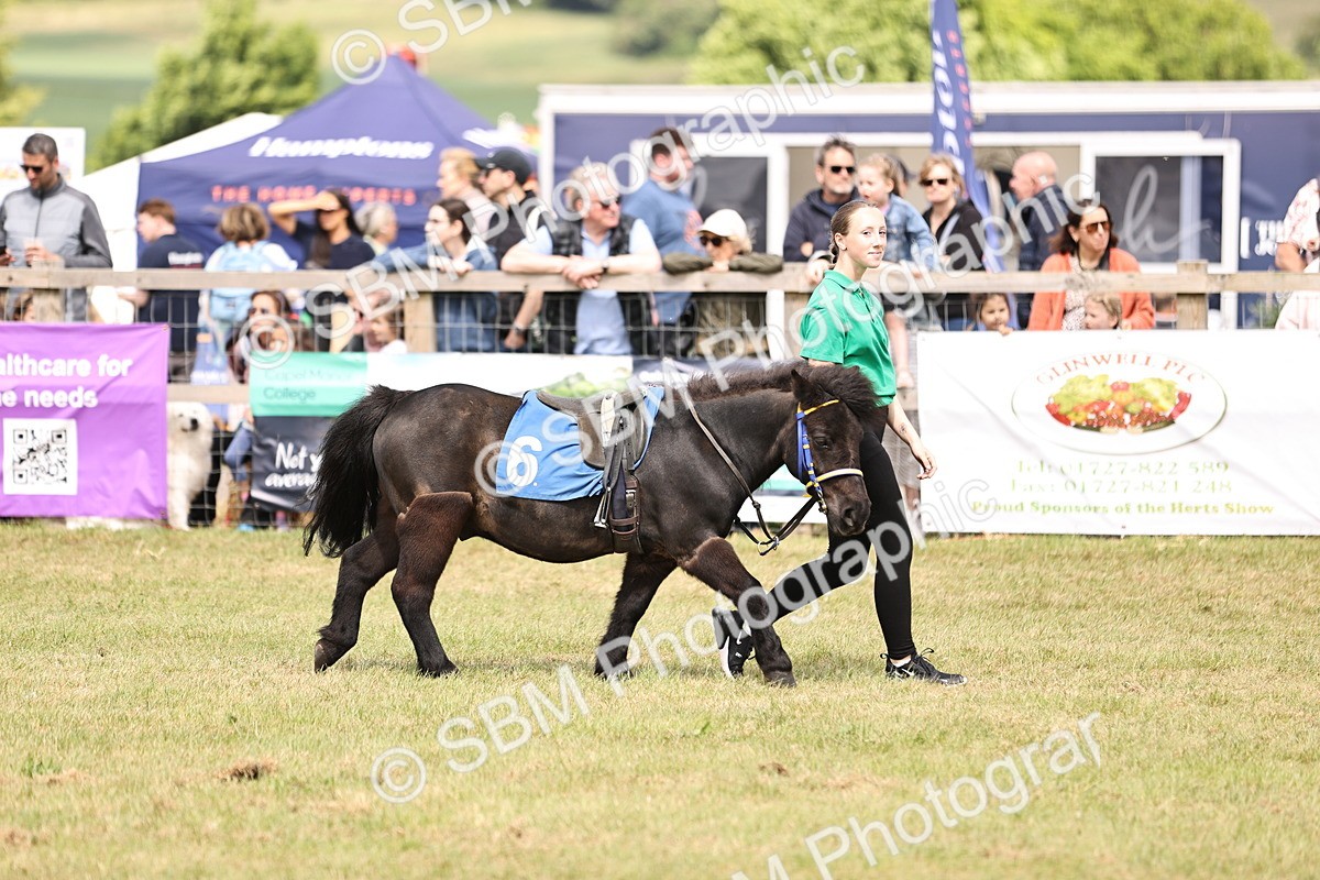 SBM_16396 - Dinky Derby