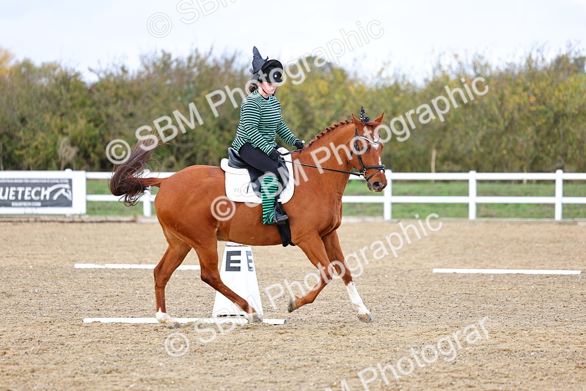SBM_002589 - Class 8-11 - Novice 1-E1