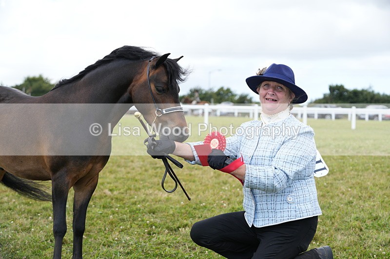 DSC06622 - Class 57: Miniature Horse 4yrs & over