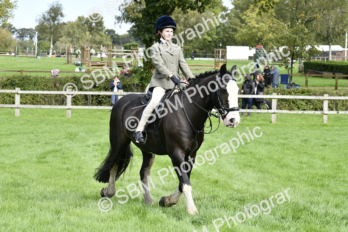 SBM_41559 - S32 - Mountain & Moorland Working Hunter Pony