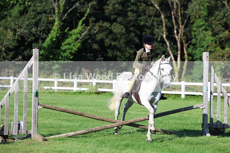 3E7A7500 - Class 1: Novice Working Hunter Pony