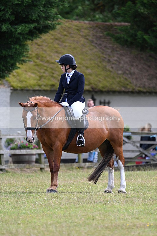 WJ7_9368 - Class 8 Ridden Veterans