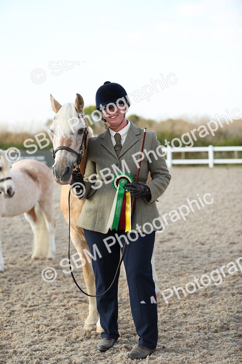 SBM_09101 - Class 29 IH Veteran Pony