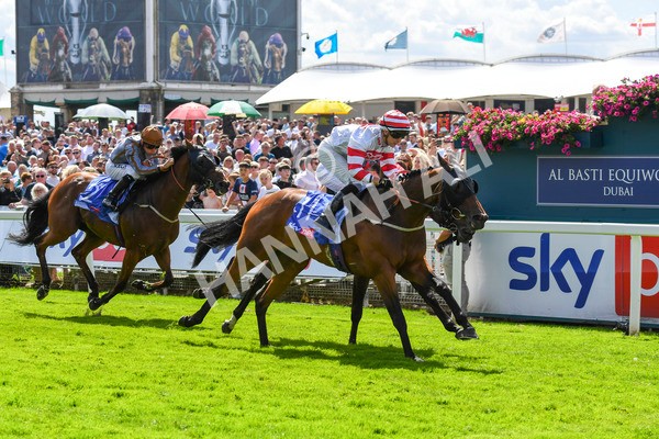 290723-Race 2-Aberama Gold-0442 - Race 2 2.40pm Sky Bet Dash Handicap