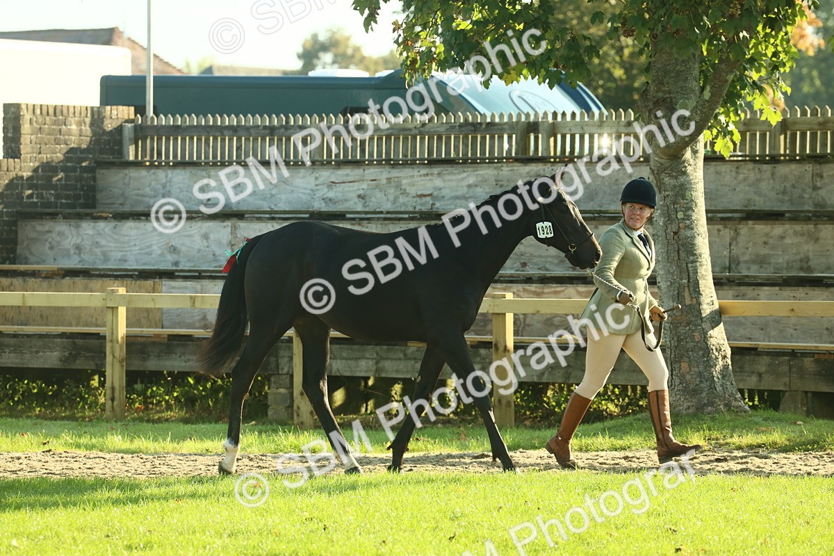 SBM_58539 - S37 - Starters In Hand Showing