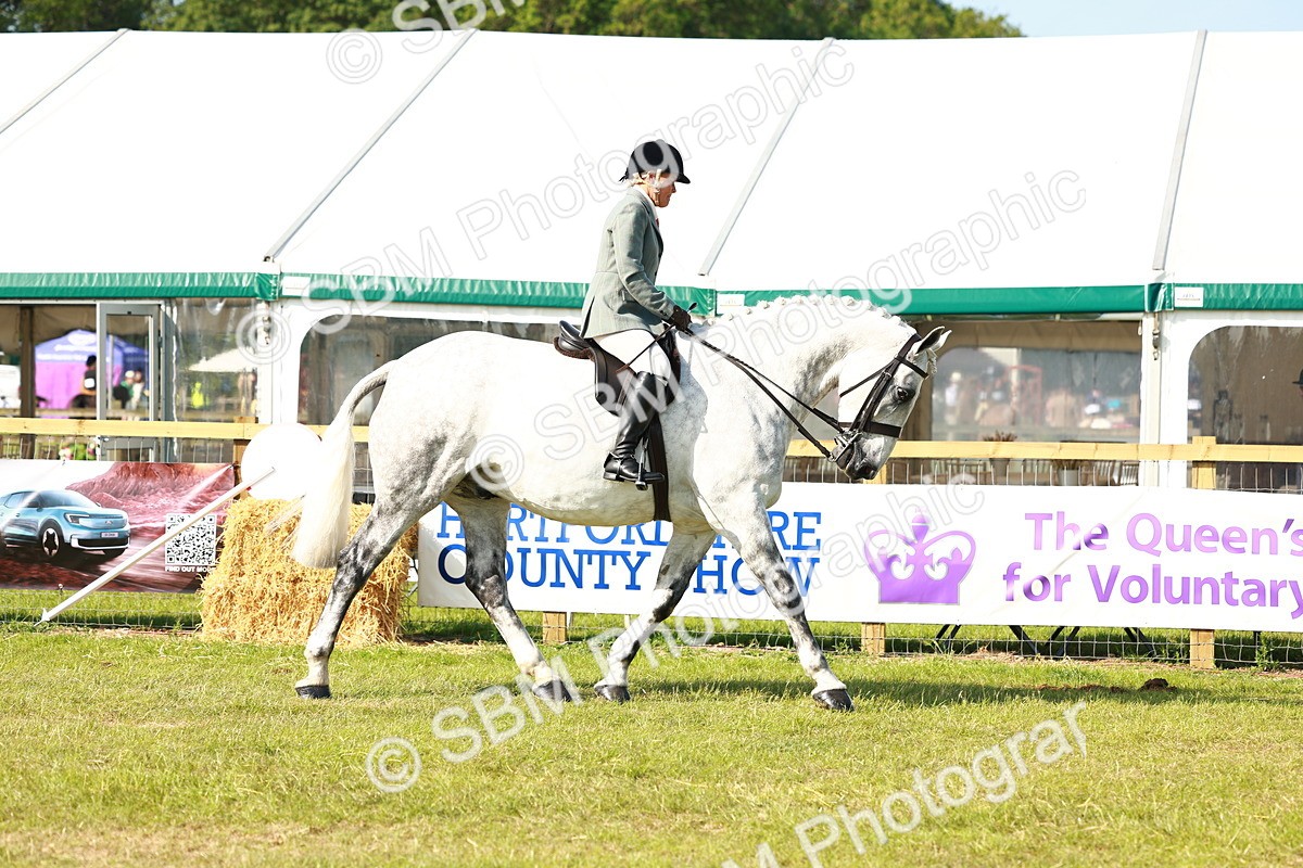 SBM_11750 - Class 66-69 - RIHS Ridden Hunters Inc Small Hunter