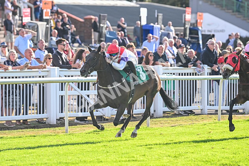 290825-Race 7-Crocus Time-9277 - Race 7