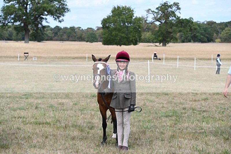 WJ6_6277 - Class 19 In-hand Veterans (Uploaded correct folder)