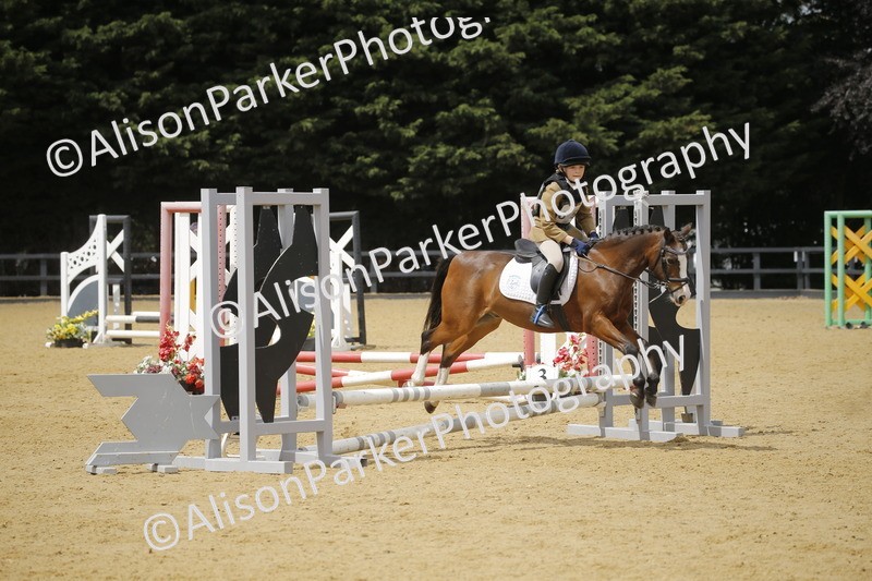 20250622-4769 - 50cm