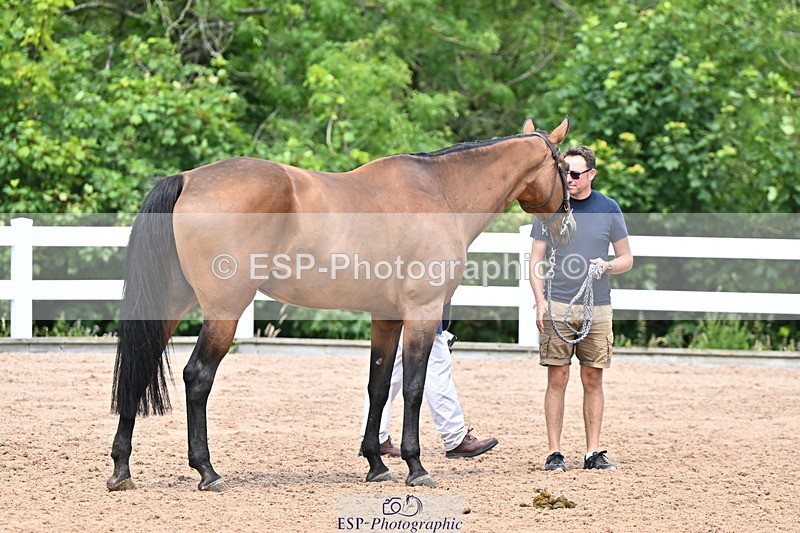 240718A-105309-01635 - Trot Up 1pm to 2pm
