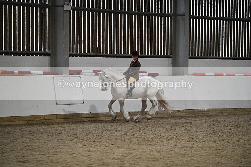 WJ7_3679 - Class 16 Ridden Coloured/ Odd Coloured