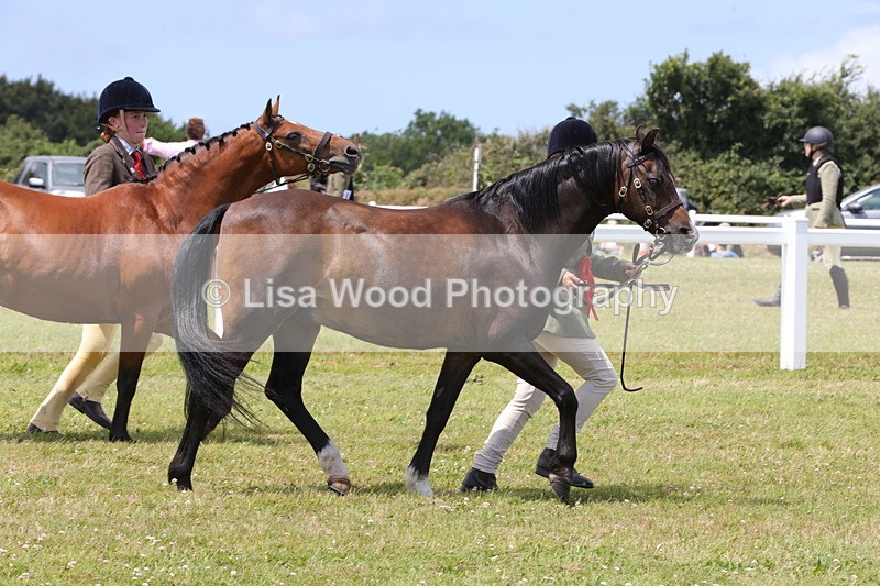 1X9A4875 - Class 35: Veteran In Hand