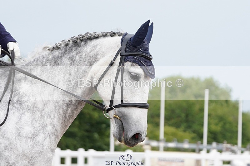 250621-102204-05657 - Quest Cls 7-11, Prelim All