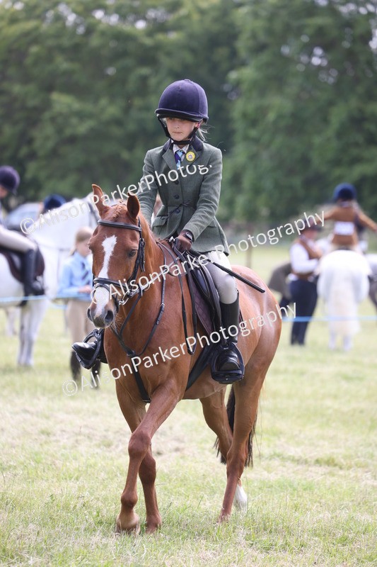 20260614-1843 - Class 21 - Novice Working Hunter Pony