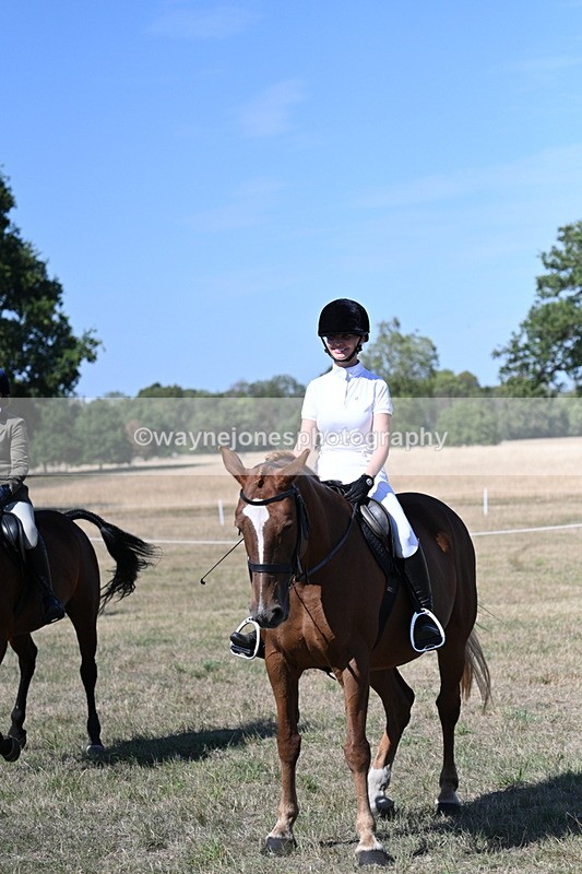 WJ7_1286 - Class 41 Prettiest Mare