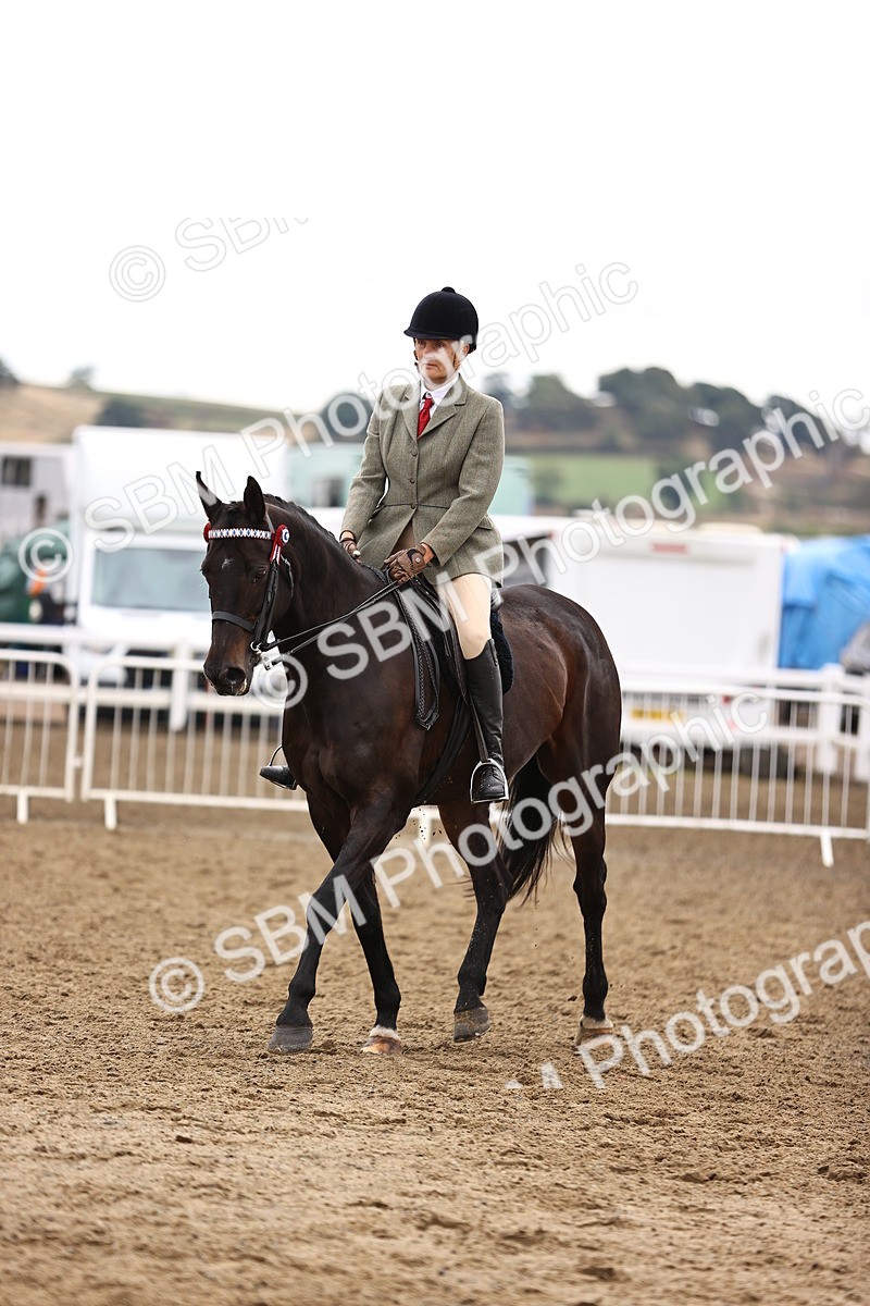 SBM_00632 - Class 53 - Ridden Competition Horse Pony