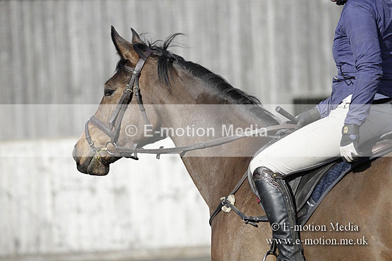 BVRC 050320 0621 - Bourne Valley riding Club Show Jumping Tidworth 08/03/20