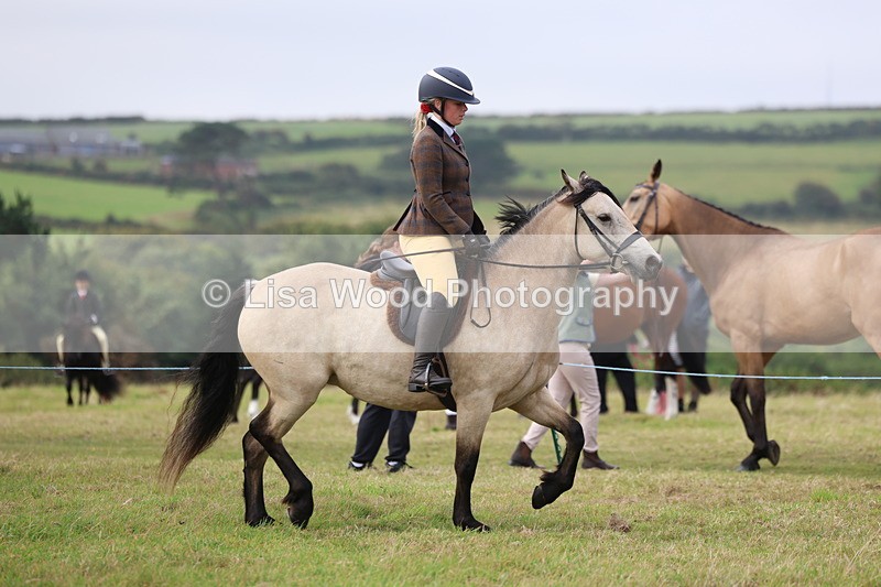 3E7A3936 - Class 4: Best Combination Open