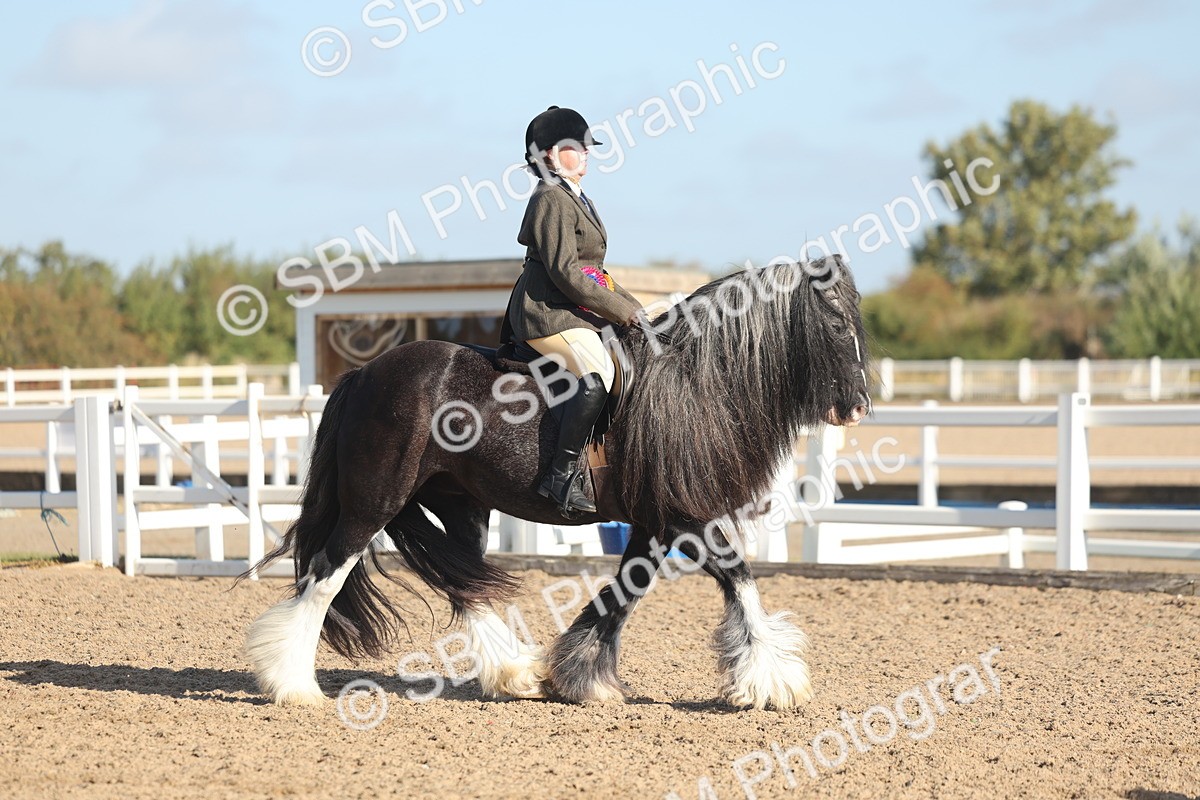SBM_22265 - Class 802 - Ridden Groom Helpers Class