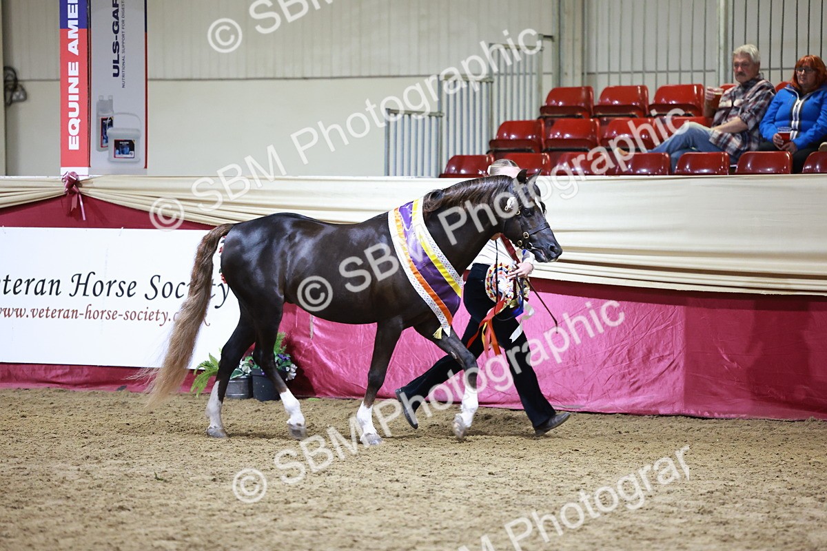 SBM_21085 - Class P - M&M Champs