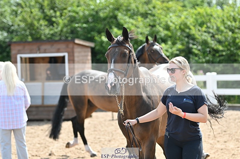 240717A-154626-03058 - Trot Up 3pm to 4pm