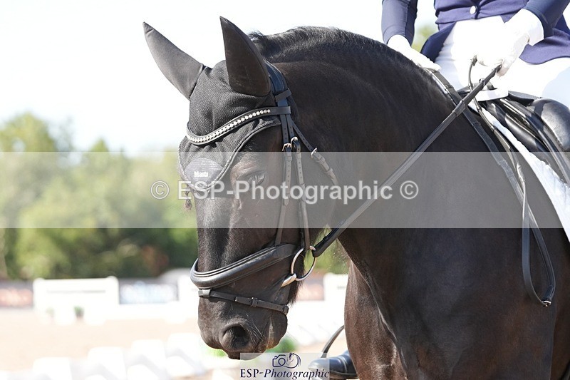 250817-162951-11718 - 188-Marina.GreenawayHynholme.Gladiator