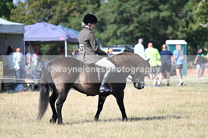 WJ7_3113 - Class 8 Ridden Tack & Turnout