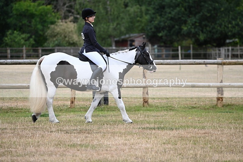 WJ6_3738 - Class 9 Tack & Turnout