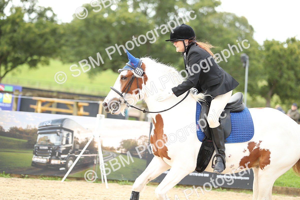 SBM_02033 - J34 - Veteran Rider 50cm