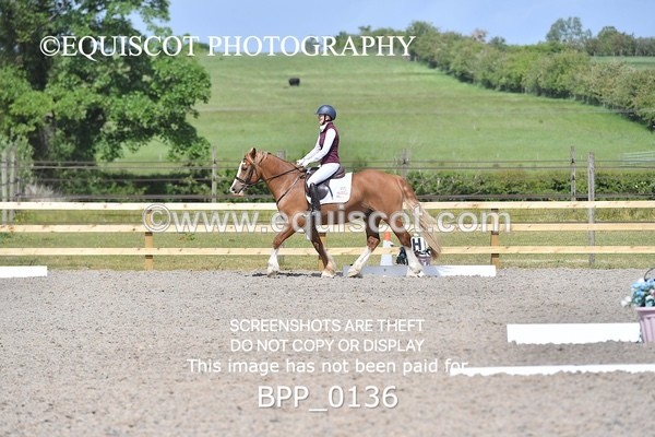 BPP_0136 - SHORT ARENA  MY QUEST PRELIM