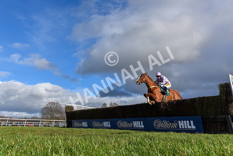 250225-Race 2-Treaty Boy-0634 - Race 2