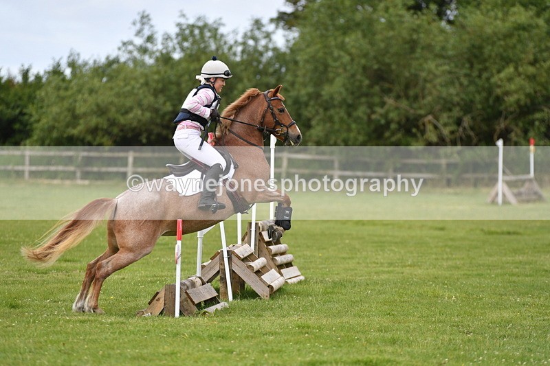 WJ5_2480 - Class 2 40cm