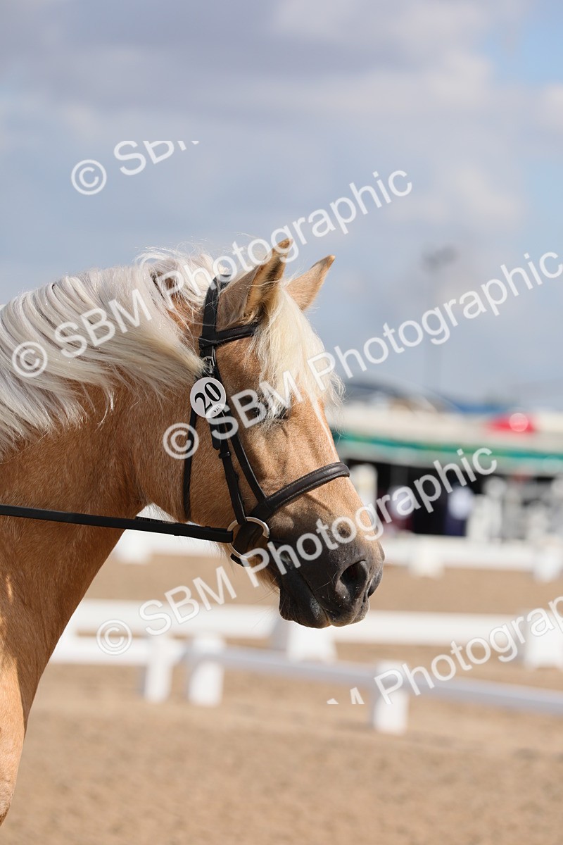 SBM_04036 - Class 31 Prelim 1