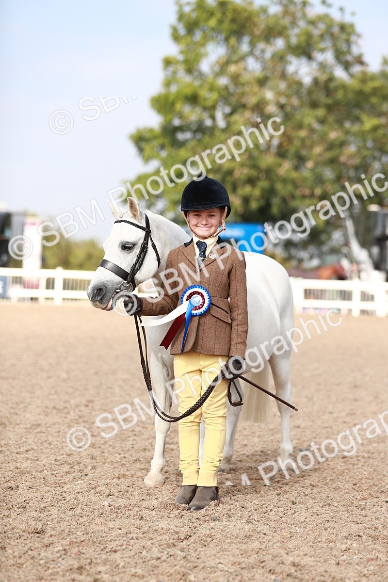 SBM_11129 - Class 205 IH Show Pony/ Show Hunter Pony