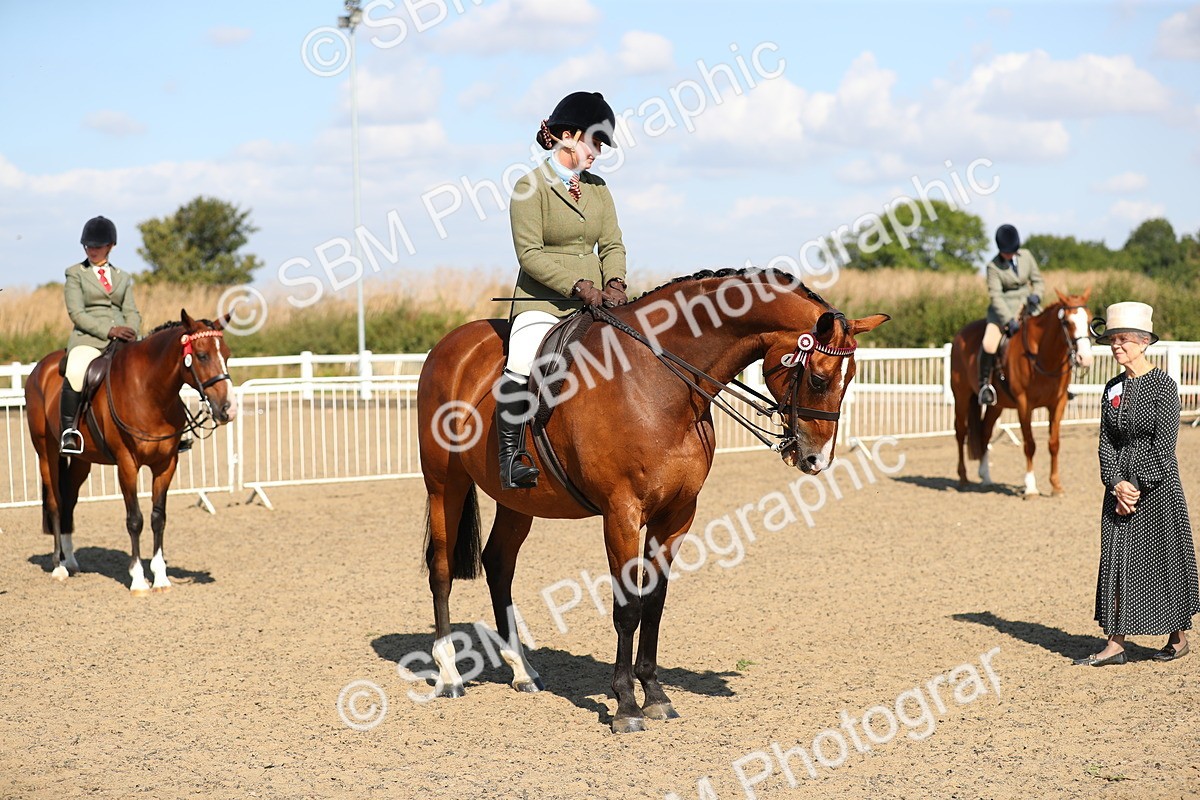 SBM_02344 - Class 43 Ridden Competition Horse/Pony