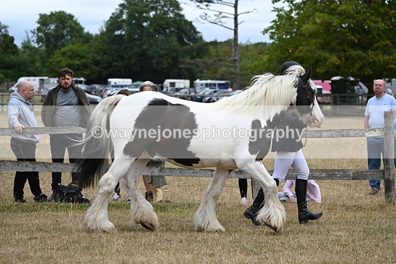 WJ6_8357 - Class 10 Coloured in Hand