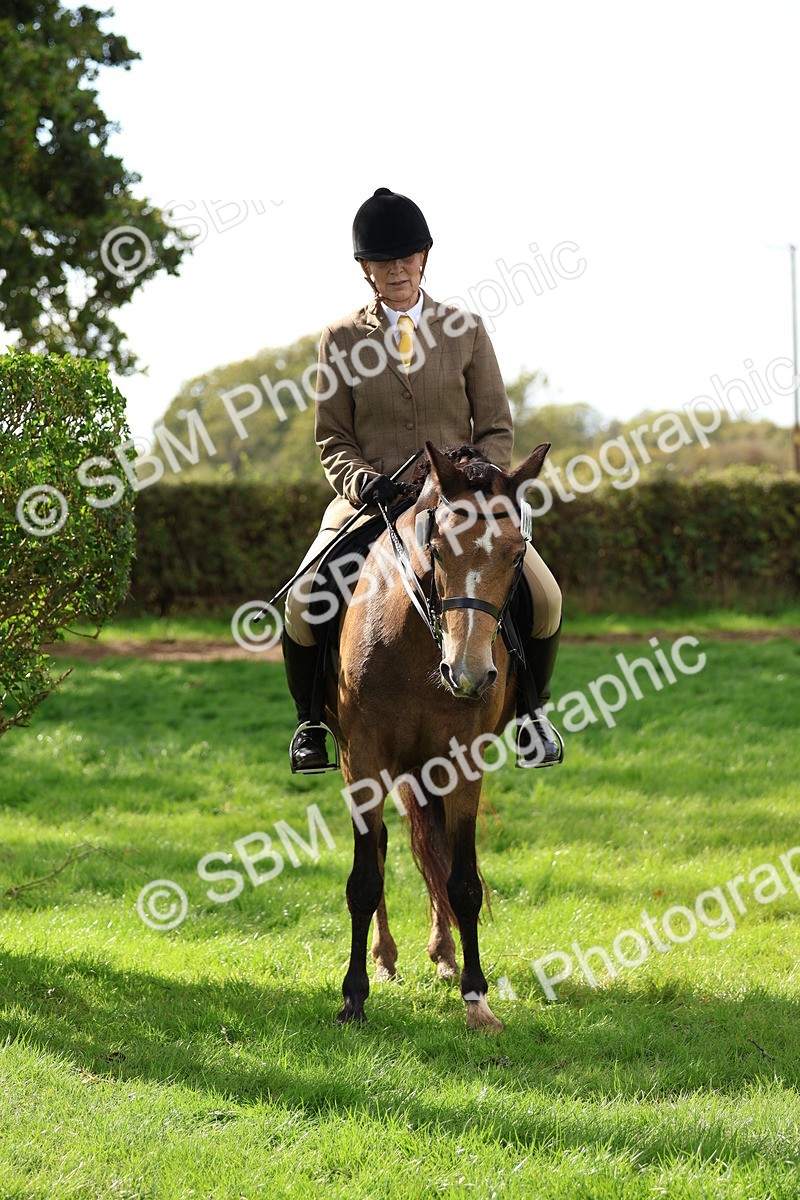 SBM_47721 - S28 - Veteran Ridden