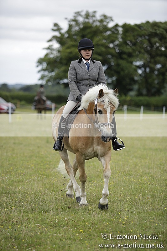 BVR160717-1528 - Ring 1 BVRC Show 16/07/17