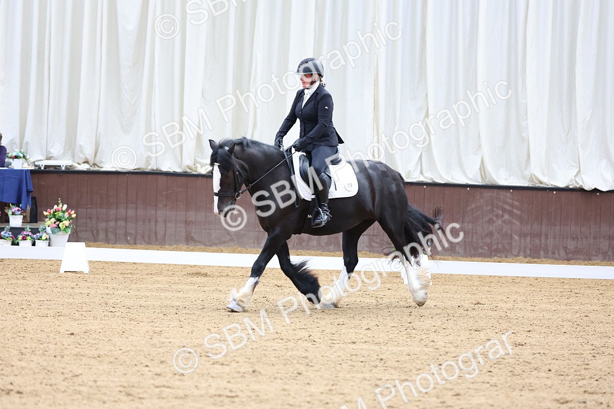 SBM_015784 - Class 15 - Novice FSM - 9.50 - 11.10