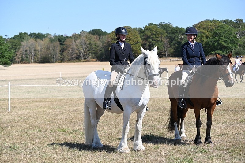 WJ6_8396 - Class 37a Best Loan Pony Ridden
