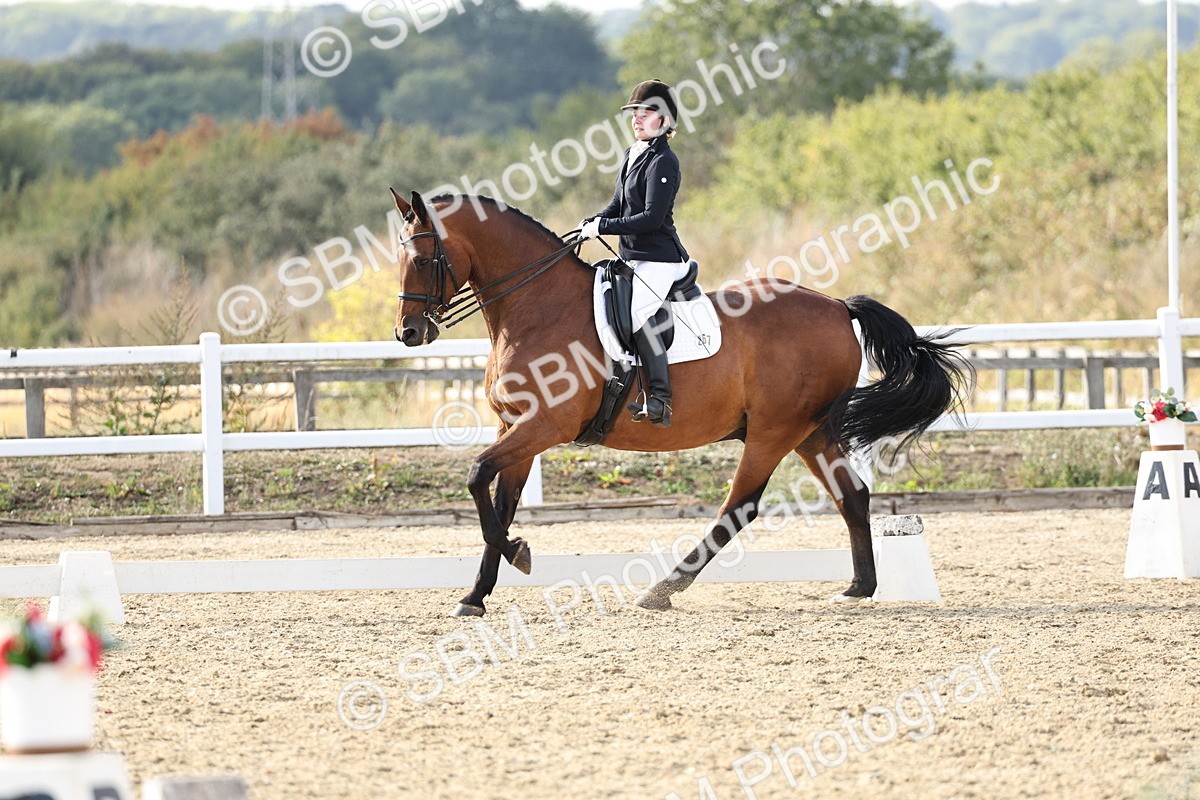 SBM_015439 - Class 9 - Advanced medium 3