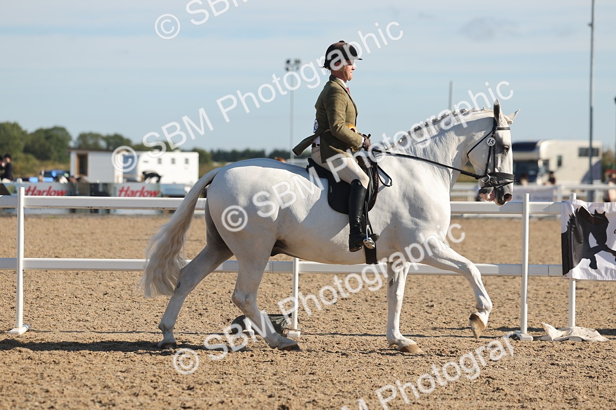SBM_12269 - Class 303 - Ridden Pure Bred Horse Pony
